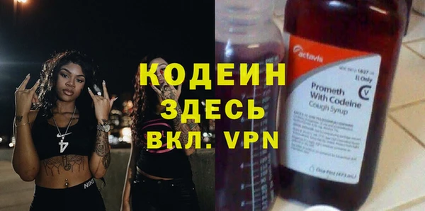 прущий лед Богданович