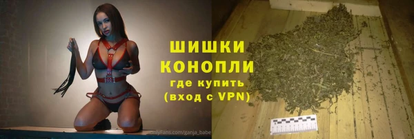 герыч Бронницы