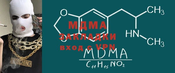 крисы Бородино