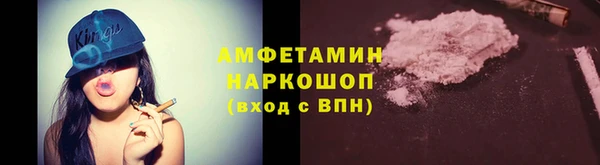 прущий лед Богданович