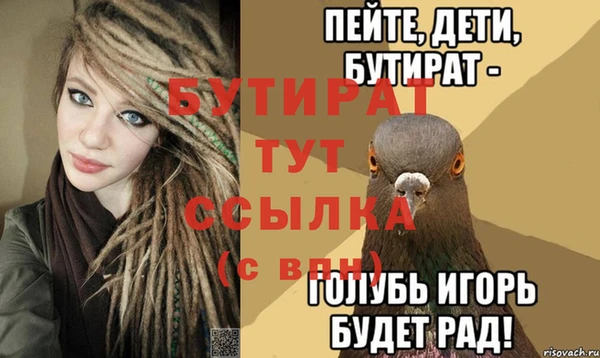 крисы Бородино