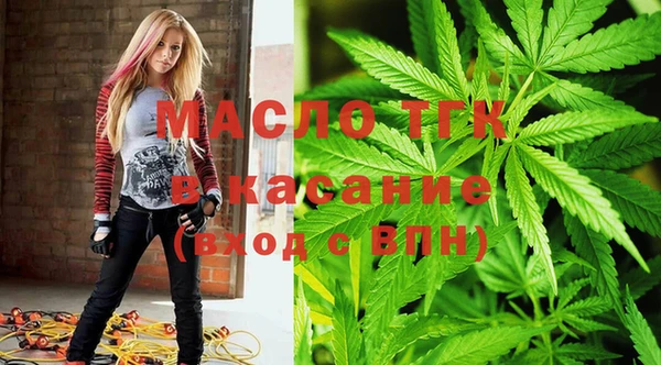 крисы Бородино