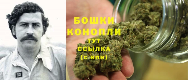прущий лед Богданович