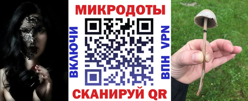 omg tor  где можно купить наркотик  Камышлов  это официальный сайт  Псилоцибиновые грибы Psilocybine cubensis 